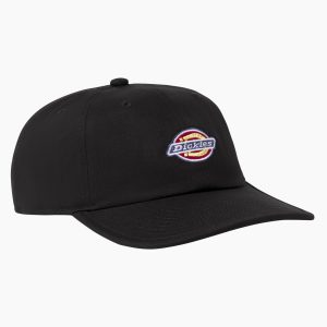 Low Pro Logo Dad Hat
